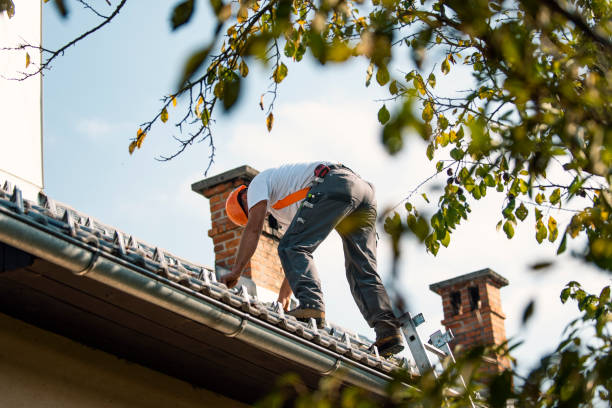 Best New Roof Installation  in Robins, IA