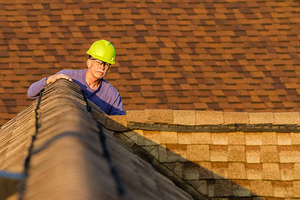 Best Metal Roofing Contractor  in Robins, IA