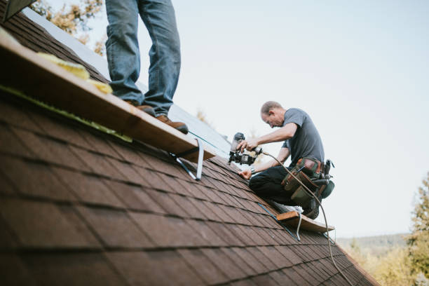 Best Commercial Roofing Services  in Robins, IA
