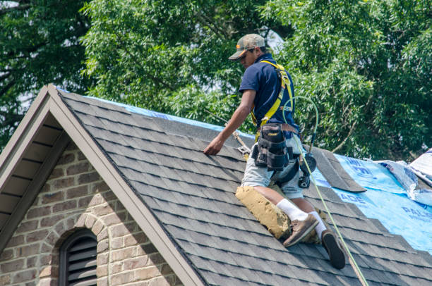 Best Roof Repair Services  in Robins, IA